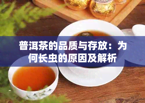 普洱茶的品质与存放：为何长虫的原因及解析