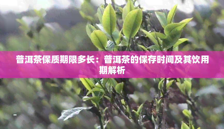 普洱茶保质期限多长：普洱茶的保存时间及其饮用期解析