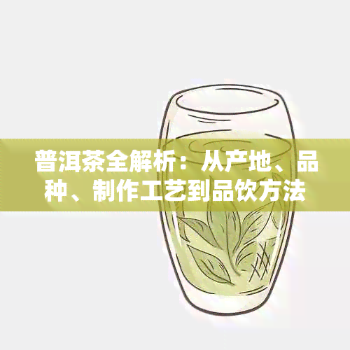 普洱茶全解析：从产地、品种、制作工艺到品饮方法，一次解答用户所有疑问