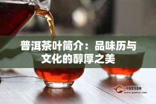 普洱茶叶简介：品味历与文化的醇厚之美