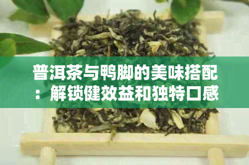 普洱茶与鸭脚的美味搭配：解锁健效益和独特口感