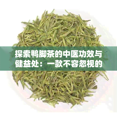 探索鸭脚茶的中医功效与健益处：一款不容忽视的用茶饮