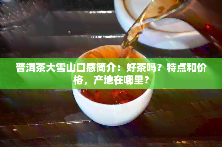 普洱茶大雪山口感简介：好茶吗？特点和价格，产地在哪里？