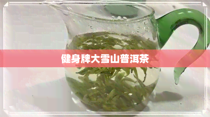 健身牌大雪山普洱茶