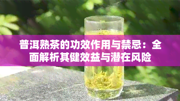 普洱熟茶的功效作用与禁忌：全面解析其健效益与潜在风险