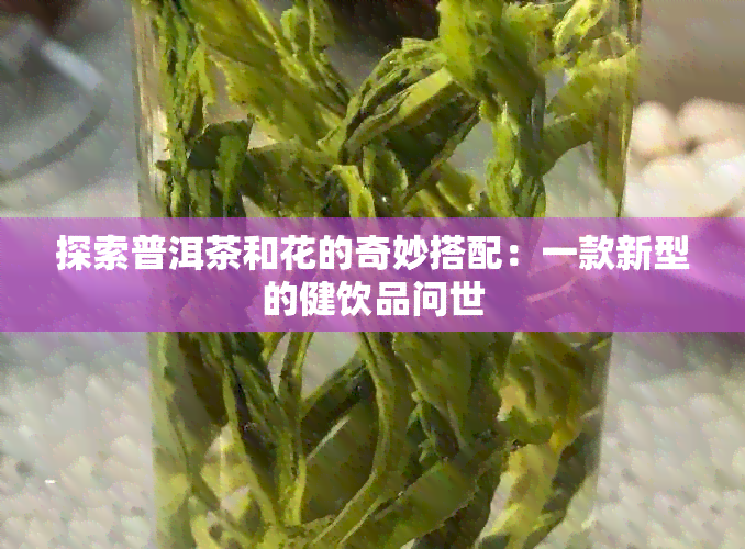 探索普洱茶和花的奇妙搭配：一款新型的健饮品问世