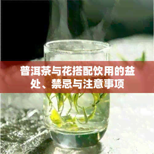 普洱茶与花搭配饮用的益处、禁忌与注意事项