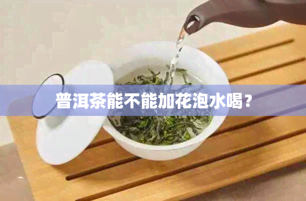 普洱茶能不能加花泡水喝？