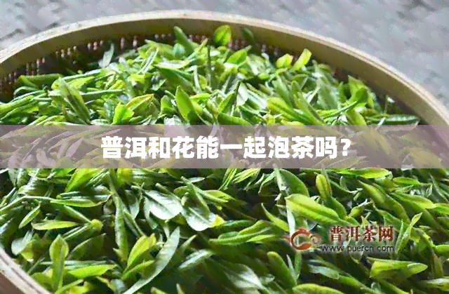 普洱和花能一起泡茶吗？