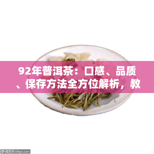 92年普洱茶：口感、品质、保存方法全方位解析，教你如何品鉴与饮用