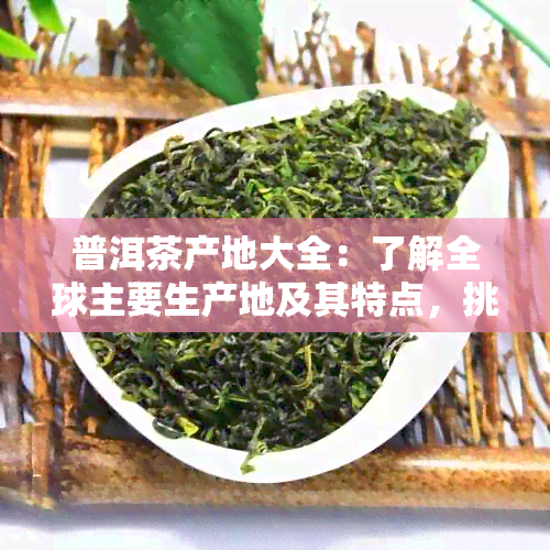 普洱茶产地大全：了解全球主要生产地及其特点，挑选普洱茶