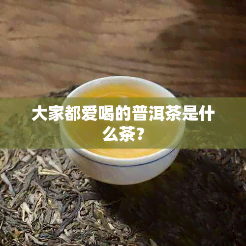 大家都爱喝的普洱茶是什么茶？