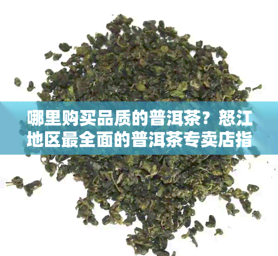 哪里购买品质的普洱茶？怒江地区最全面的普洱茶专卖店指南