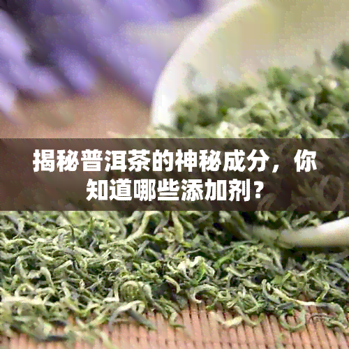 揭秘普洱茶的神秘成分，你知道哪些添加剂？