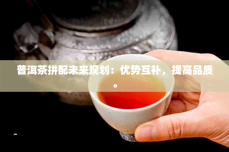 普洱茶拼配未来规划：优势互补，提高品质。