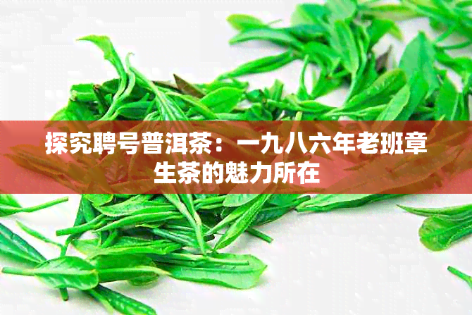 探究聘号普洱茶：一九八六年老班章生茶的魅力所在