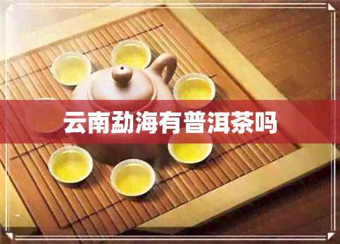 云南勐海有普洱茶吗