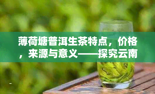 薄荷塘普洱生茶特点，价格，来源与意义——探究云南优质茶山特色