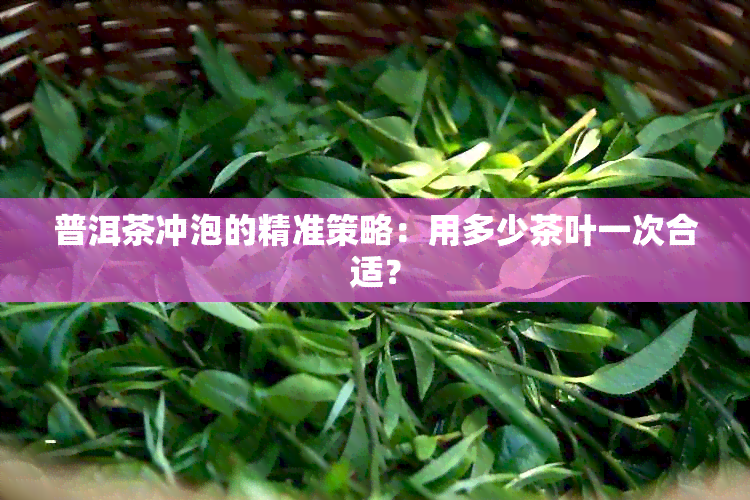 普洱茶冲泡的精准策略：用多少茶叶一次合适？