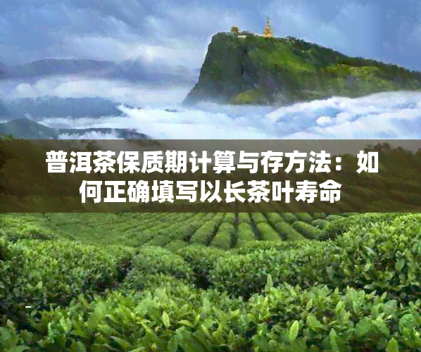 普洱茶保质期计算与存方法：如何正确填写以长茶叶寿命