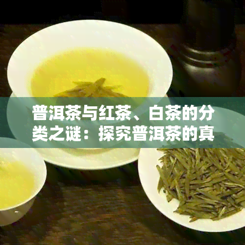 普洱茶与红茶、白茶的分类之谜：探究普洱茶的真实身份