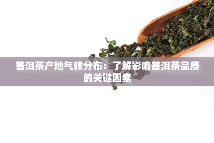 普洱茶产地气候分布：了解影响普洱茶品质的关键因素