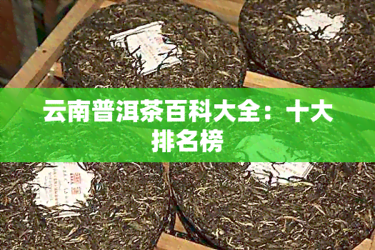 云南普洱茶百科大全：十大排名榜