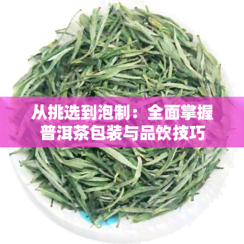 从挑选到泡制：全面掌握普洱茶包装与品饮技巧