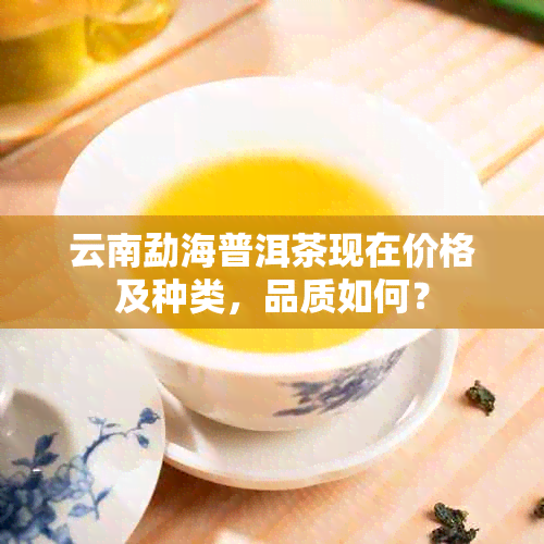 云南勐海普洱茶现在价格及种类，品质如何？