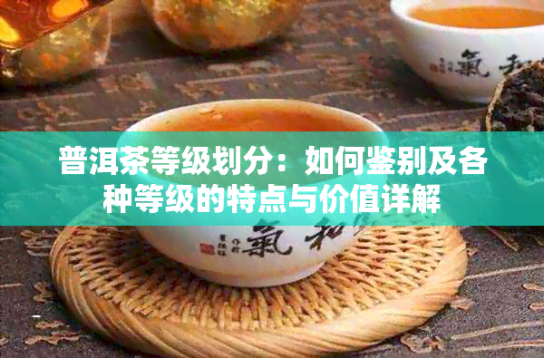 普洱茶等级划分：如何鉴别及各种等级的特点与价值详解