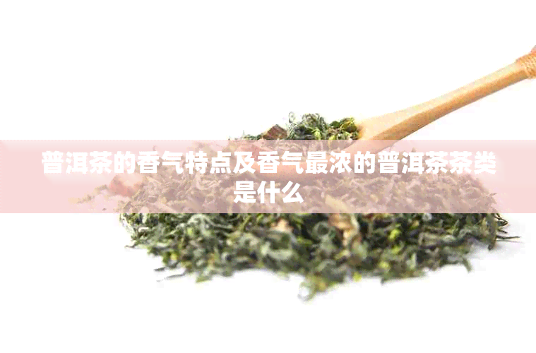 普洱茶的香气特点及香气最浓的普洱茶茶类是什么