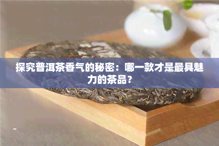 探究普洱茶香气的秘密：哪一款才是更具魅力的茶品？