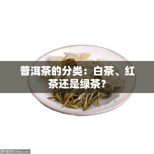 普洱茶的分类：白茶、红茶还是绿茶？