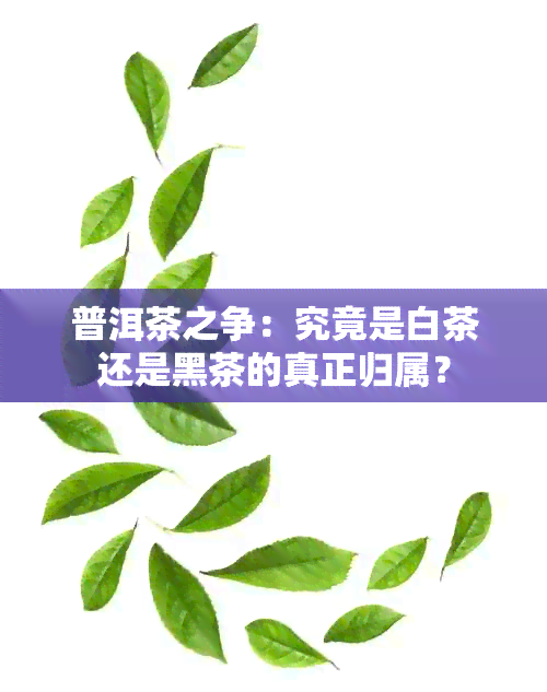 普洱茶之争：究竟是白茶还是黑茶的真正归属？