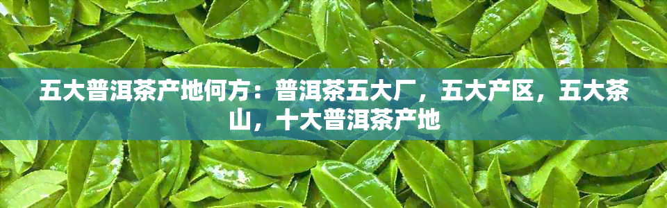 五大普洱茶产地何方：普洱茶五大厂，五大产区，五大茶山，十大普洱茶产地