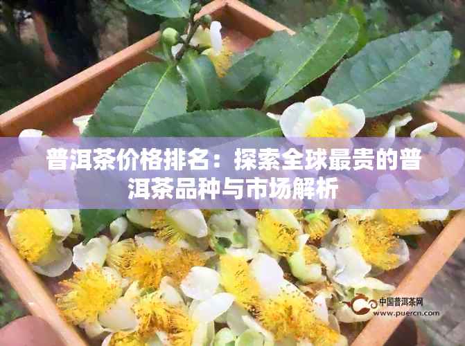 普洱茶价格排名：探索全球最贵的普洱茶品种与市场解析