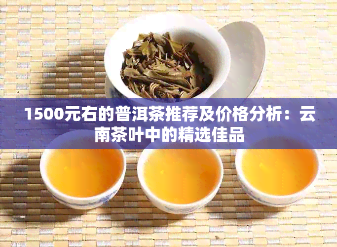 1500元右的普洱茶推荐及价格分析：云南茶叶中的精选佳品