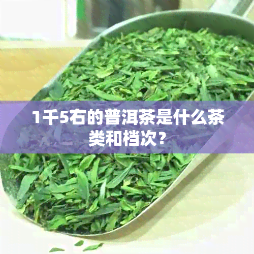 1千5右的普洱茶是什么茶类和档次？