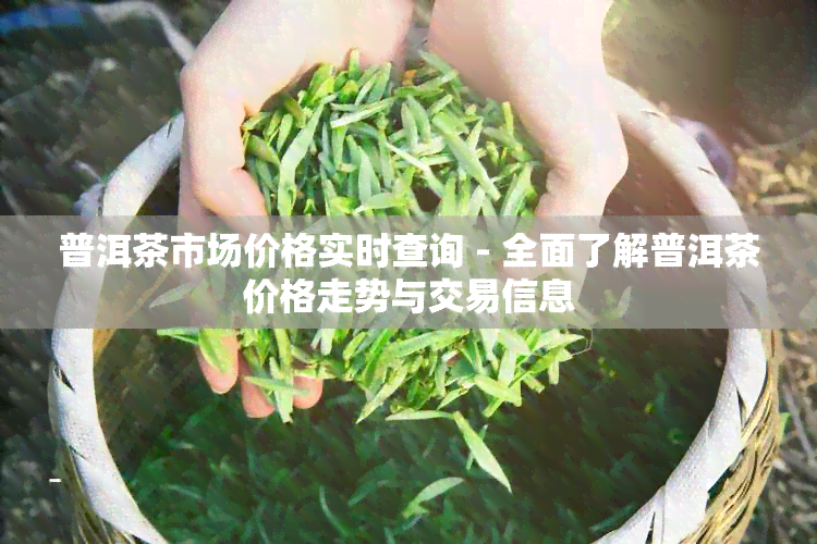 普洱茶市场价格实时查询 - 全面了解普洱茶价格走势与交易信息