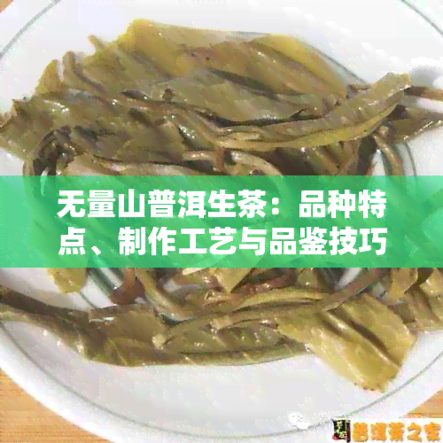 无量山普洱生茶：品种特点、制作工艺与品鉴技巧全面解析，助您成为茶叶专家