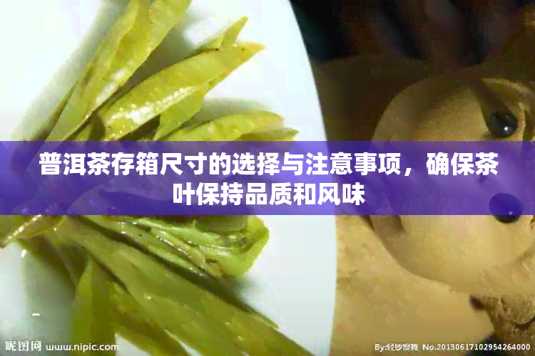 普洱茶存箱尺寸的选择与注意事项，确保茶叶保持品质和风味