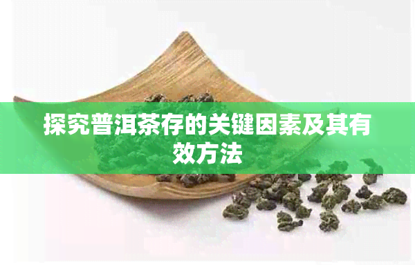 探究普洱茶存的关键因素及其有效方法