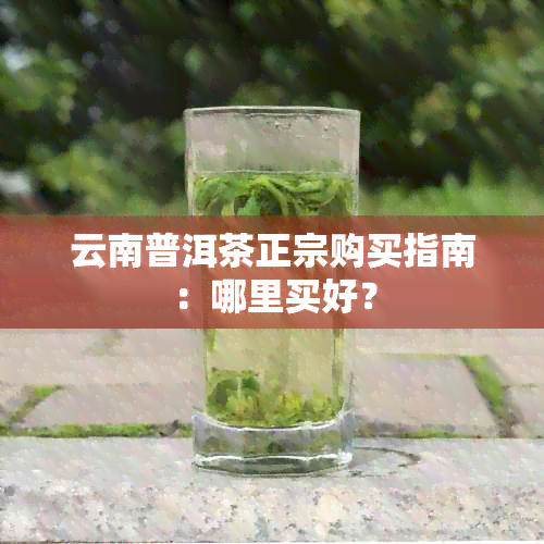 云南普洱茶正宗购买指南：哪里买好？