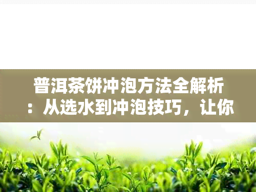 普洱茶饼冲泡方法全解析：从选水到冲泡技巧，让你品尝到口感