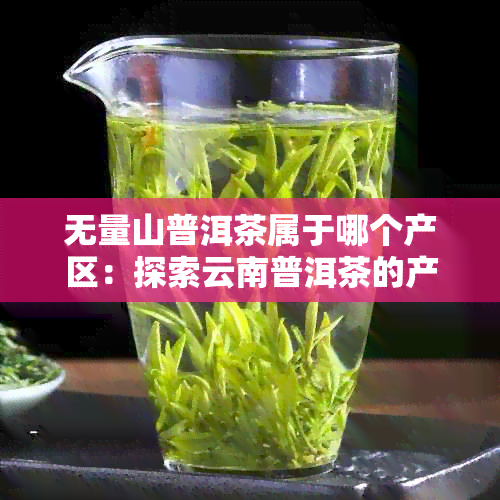 无量山普洱茶属于哪个产区：探索云南普洱茶的产地与特色