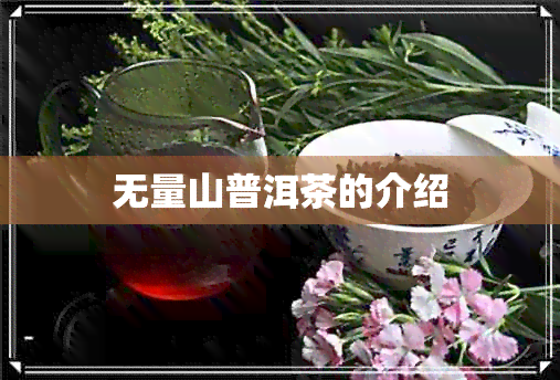 无量山普洱茶的介绍