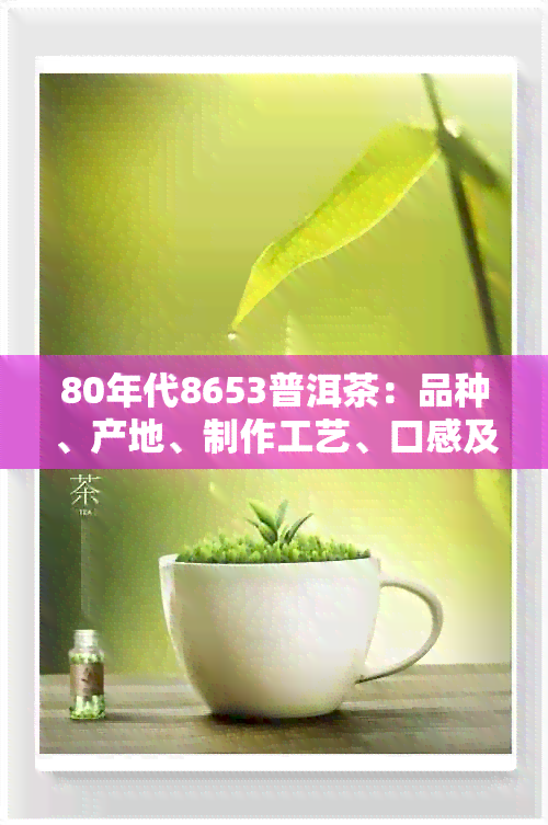 80年代8653普洱茶：品种、产地、制作工艺、口感及品鉴方法全面解析