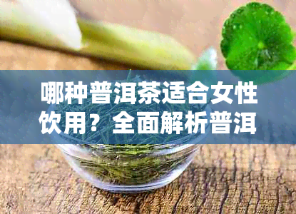 哪种普洱茶适合女性饮用？全面解析普洱茶对女性的健益处与适用品种