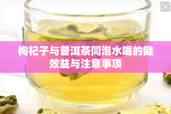 枸杞子与普洱茶同泡水喝的健效益与注意事项