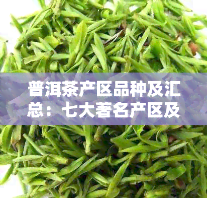 普洱茶产区品种及汇总：七大著名产区及其代表性茶叶